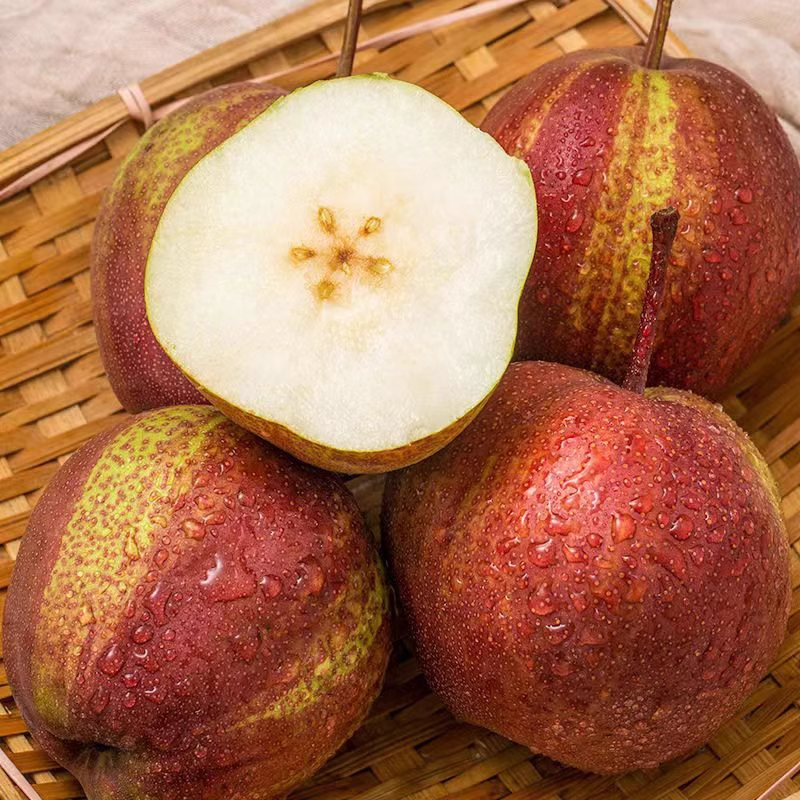 Pyrus pyrifolia 'Nijisseiki'🌈Rainbow Pear Seeds-Plantjoyfarm-