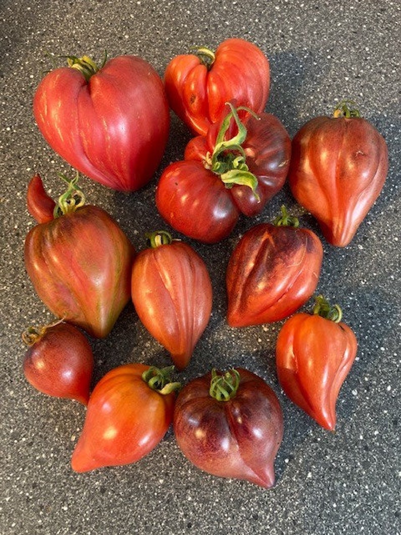 Crushed Heart Tomato Seeds  Organic Heirloom Tomatoes-Plantjoyfarm-new,vegetable