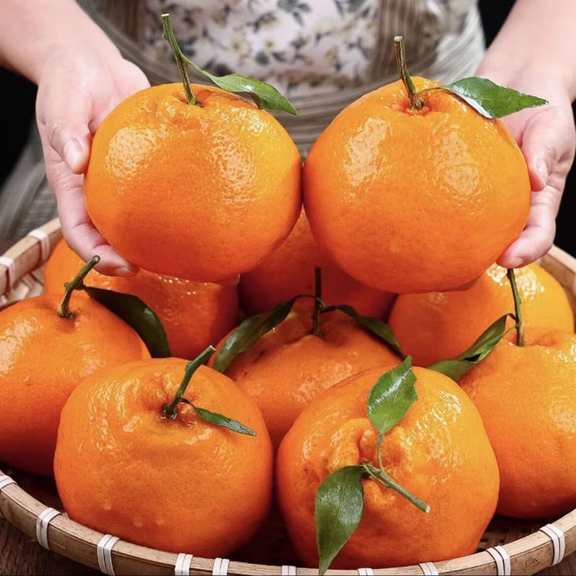 Rake Citrus Seeds (🪴Can be potted)-Plantjoyfarm-