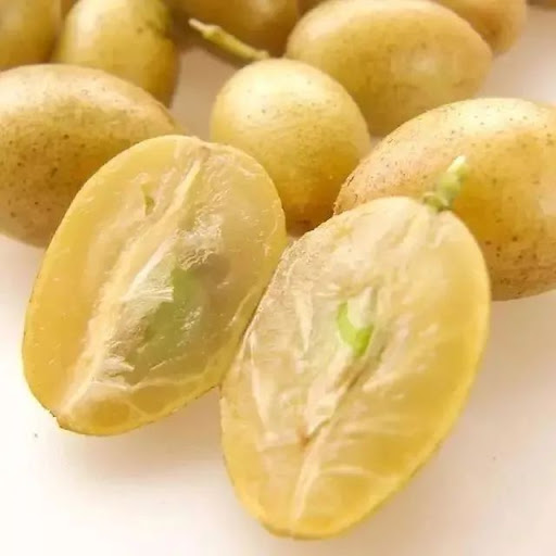 Wampee Fruit Seeds-Plantjoyfarm-