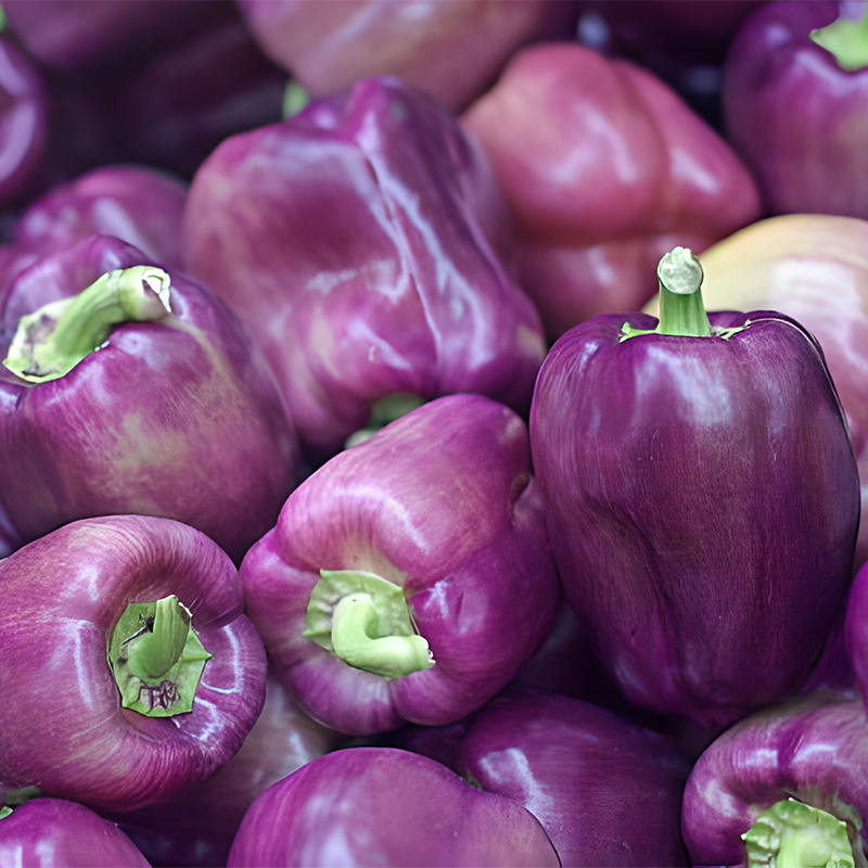 Rainbow Sweet Bell Pepper Seeds-Plantjoyfarm-Vegetable Seeds,vegetable,best selling