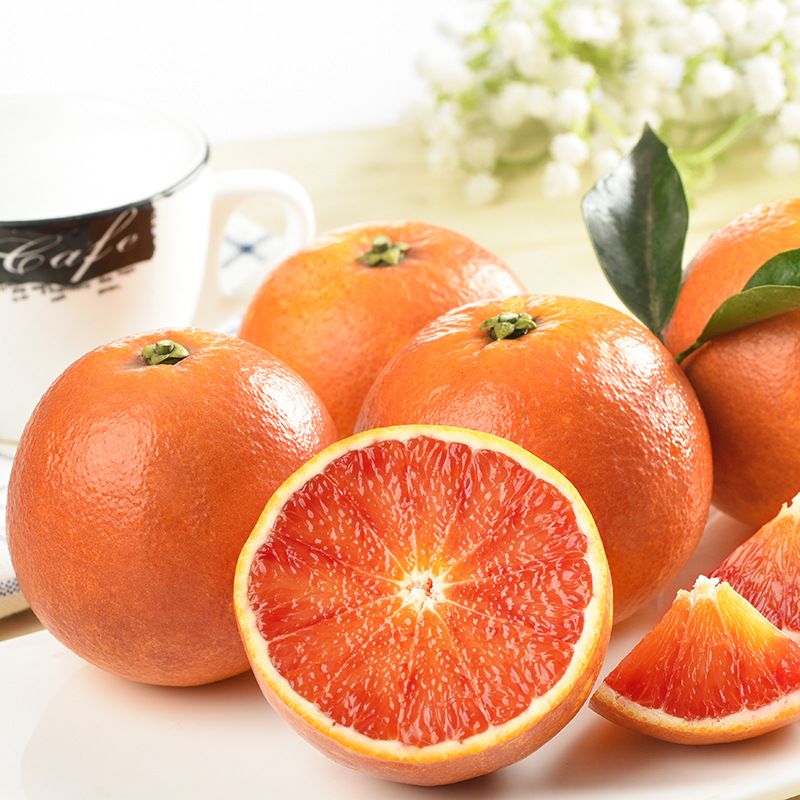 Red Flesh Blood Orange Seeds(🪴Can be potted)-Plantjoyfarm-