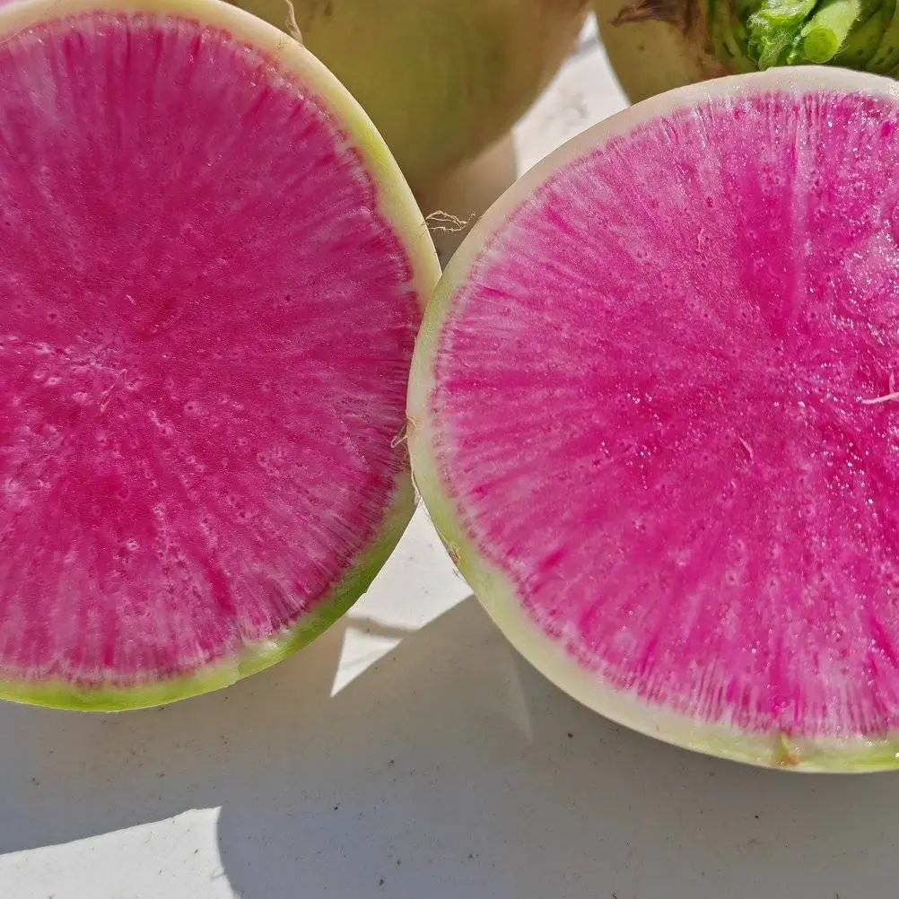 Radish Watermelon Seeds-Plantjoyfarm-Vegetable Seeds,best selling