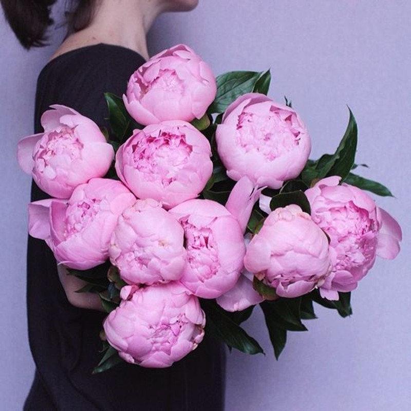 10Pcs Chinese Peony Flower Seeds Perennial Paeonia Suffruticosa Bonsai Plants Home Garden-Plantjoyfarm-Garden Seeds,home and garden,best selling