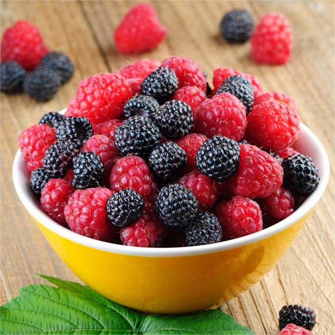 Large Fruited Raspberry Seeds-Plantjoyfarm-
