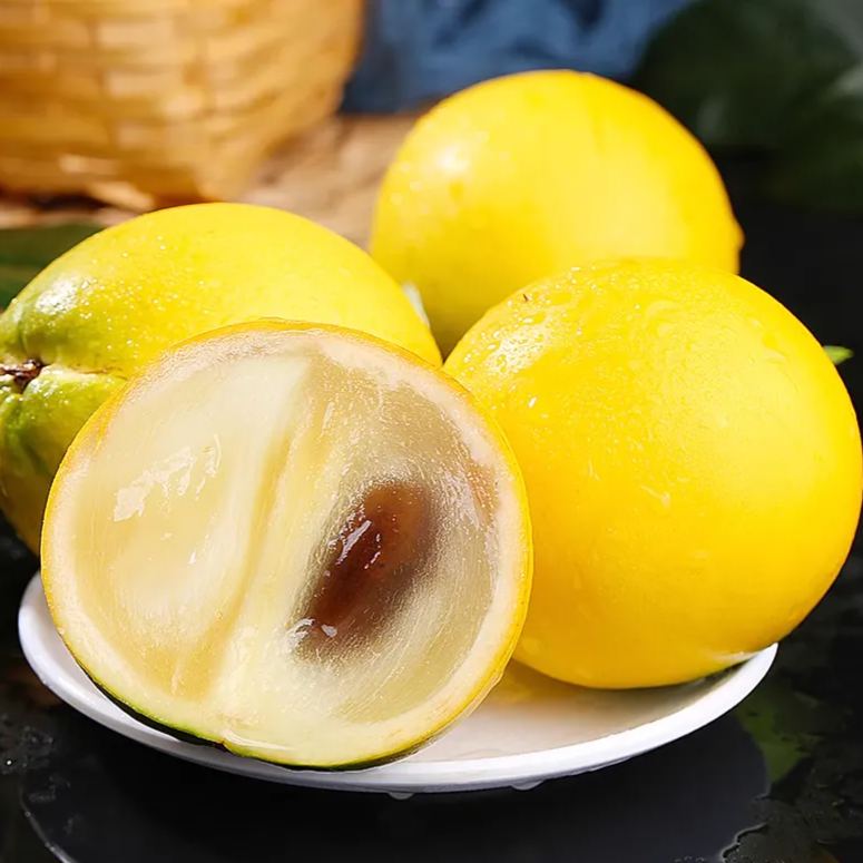 Golden Fruit Seeds-Abiu Fruit-Pouteria Caimito-Plantjoyfarm-