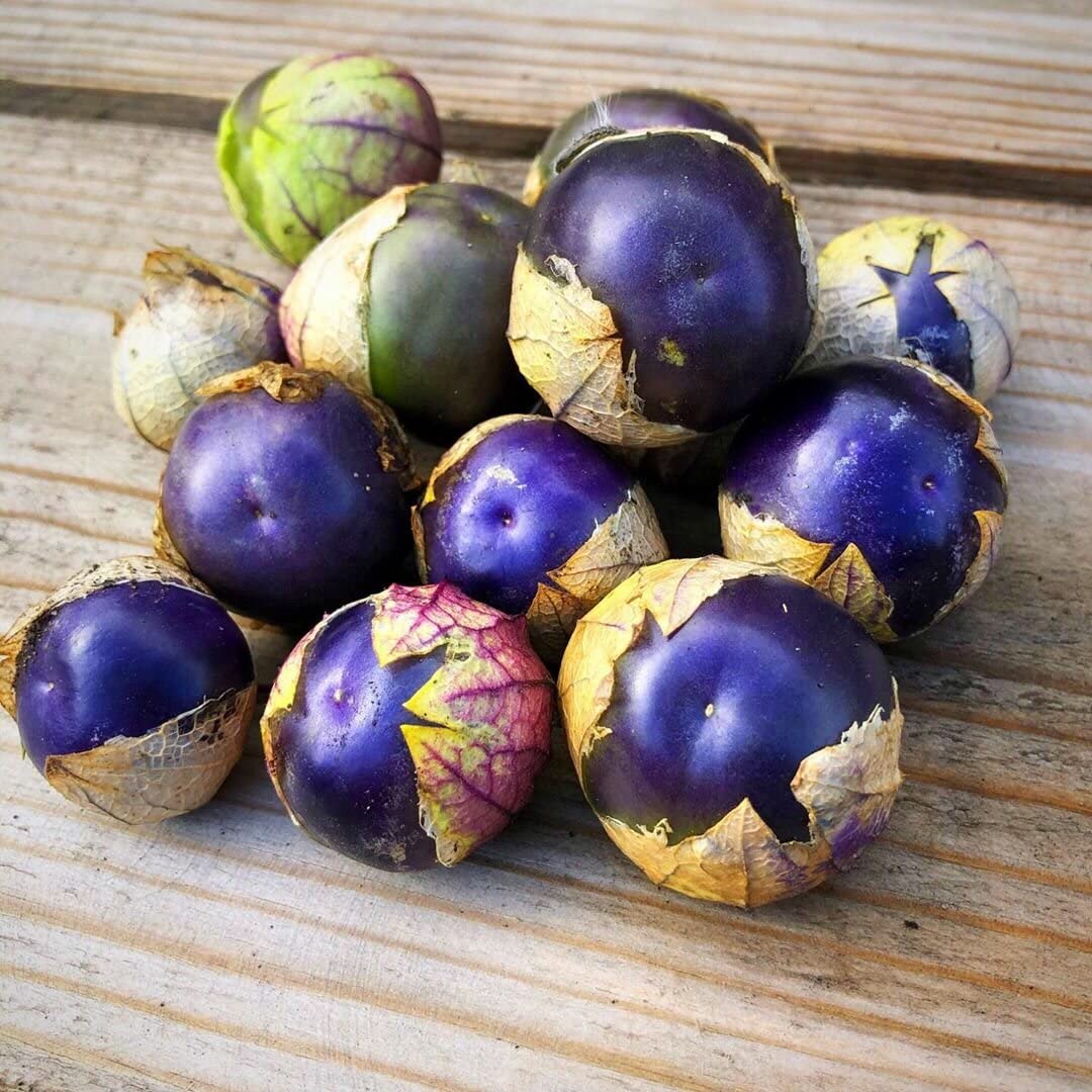 Purple Tomatillo Seeds - Non GMO-Plantjoyfarm-Fruit Seeds,Garden Seeds,best selling