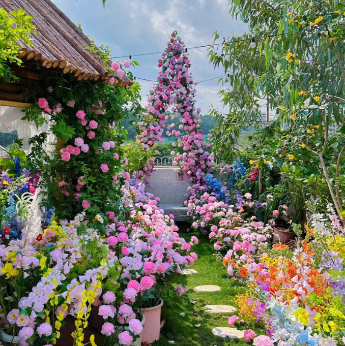 🌹Climbing Rose - Luck Rising-Plantjoyfarm-