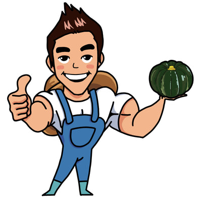 Beibei Pumpkin Seeds-Plantjoyfarm-Vegetable Seeds,best selling