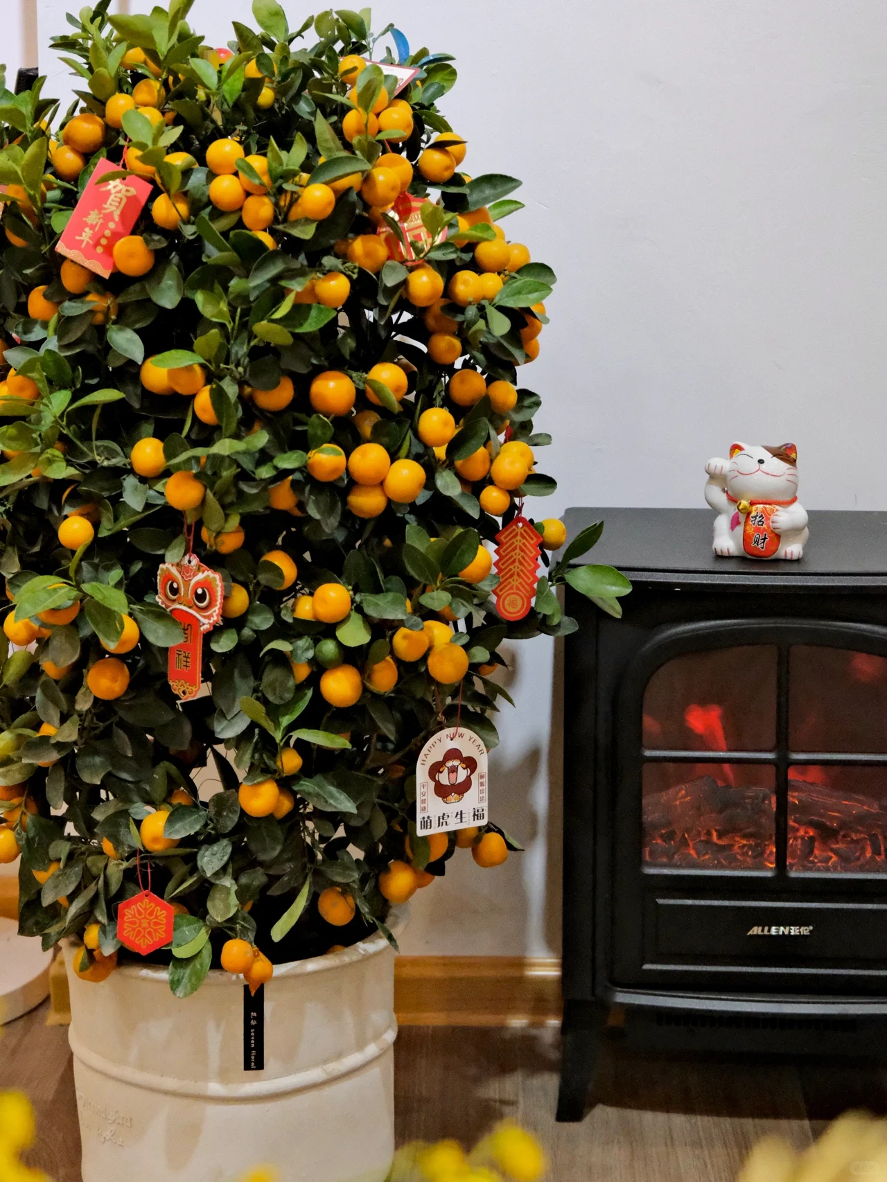 Kumquat Tree Seeds-Plantjoyfarm-Fruit Seeds,best selling