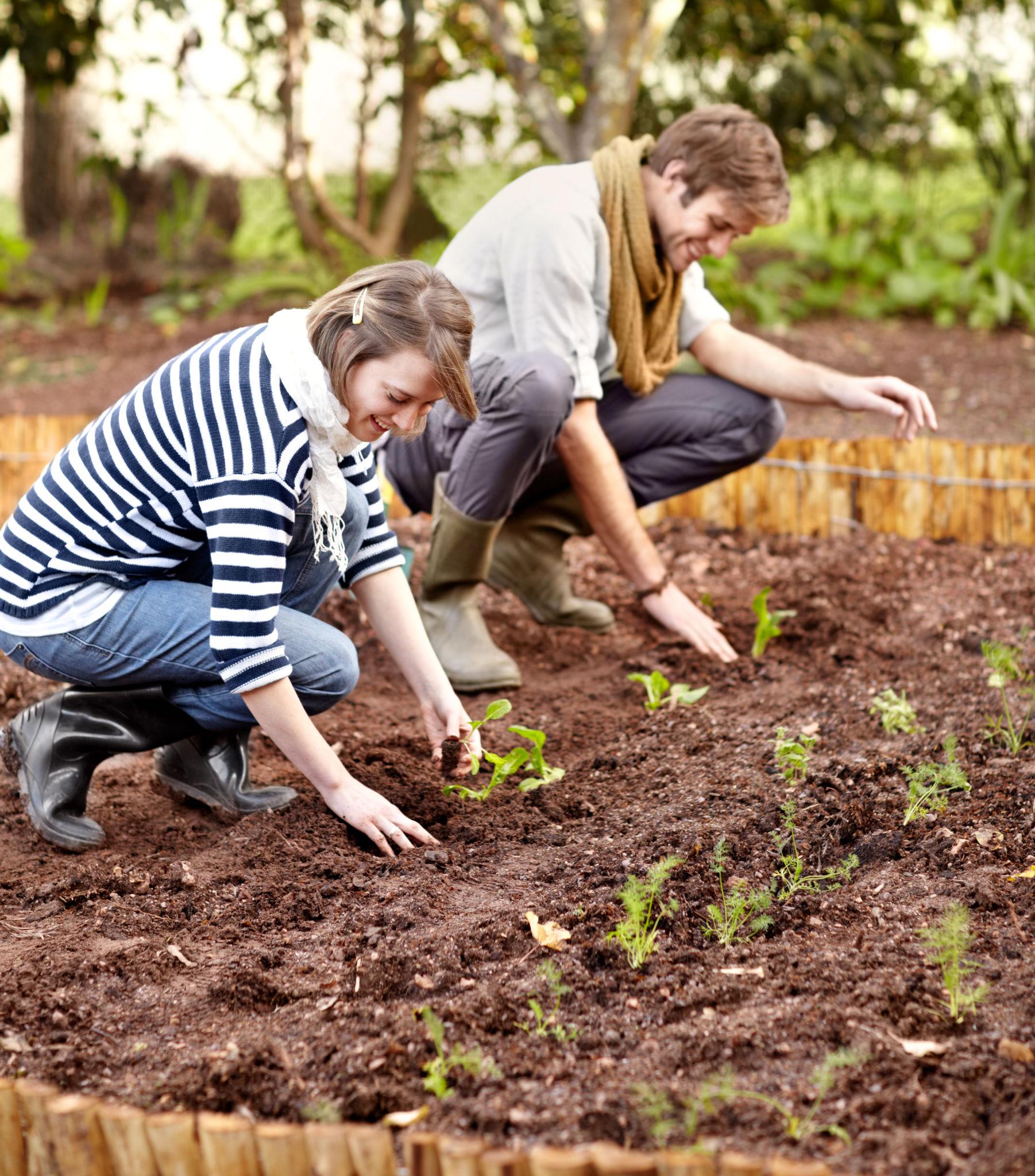 Spacing is the key to successful planting