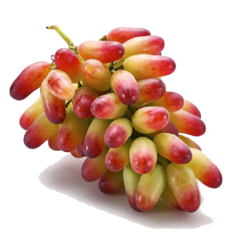 Manicure Finger Grapes Seeds-Plantjoyfarm-