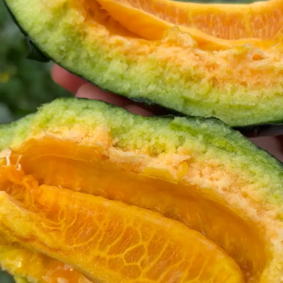 Melon Seeds The Most Suitable Melon for the Elderly and Children-Plantjoyfarm-Fruit Seeds,best selling