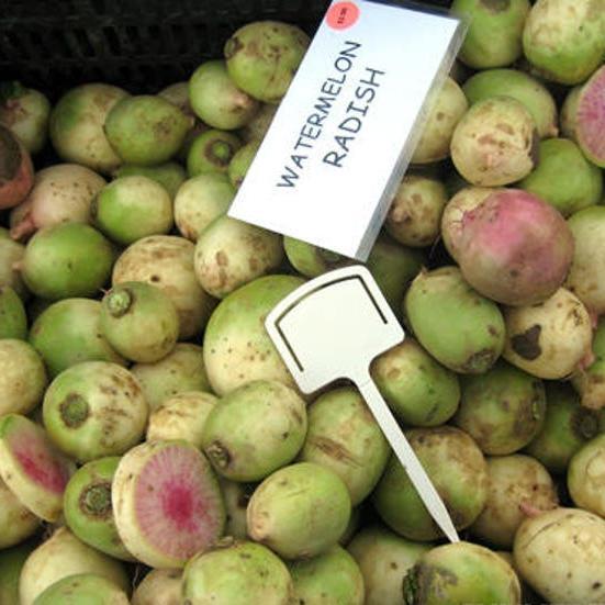 WATERMELON RADISH Beauty Heart Raphanus Sativus Pink White Vegetable Seeds-Plantjoyfarm-Vegetable Seeds,best selling