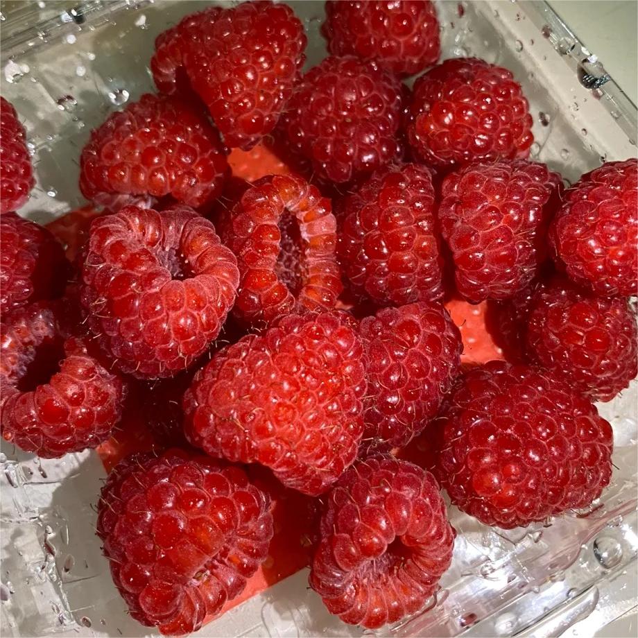 Large Fruited Raspberry Seeds-Plantjoyfarm-