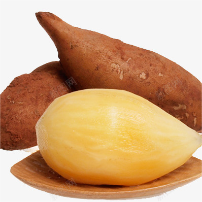 YACON FRUIT SEEDS-Plantjoyfarm-