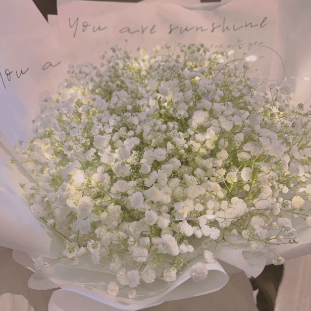 🌟Gypsophila—Sky Full Of Stars-Plantjoyfarm-best selling,Garden Seeds