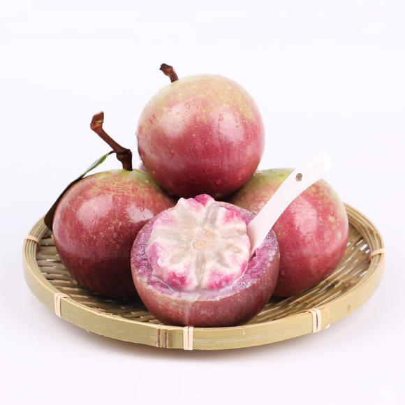 Milk Fruit Seeds - Star Apple✨Cold hardy varieties-Plantjoyfarm-