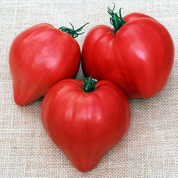 Organic Oxheart Tomato Seeds-Plantjoyfarm-new,Seeds,Tomato,vegetable,best selling