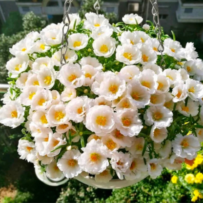 Heavy Petals Pine Leaf Peony-Plantjoyfarm-Garden Seeds,best selling