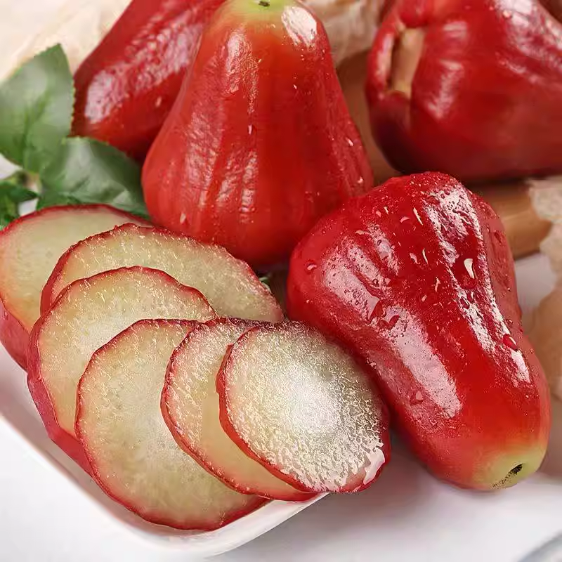 Wax-apple Fruit Seeds🍹-Plantjoyfarm-