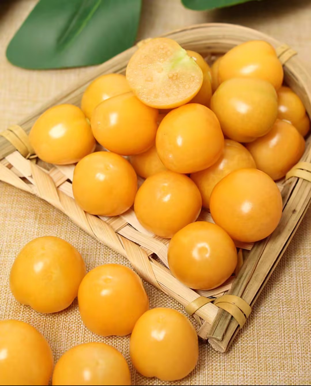 Super Verde Tomatillo Seeds-Plantjoyfarm-Fruit Seeds,Garden Seeds,best selling