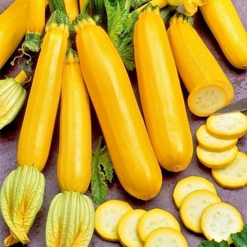 Golden Zucchini Seeds-Plantjoyfarm-fruit,Vegetable Seeds,Fruit Seeds,best selling