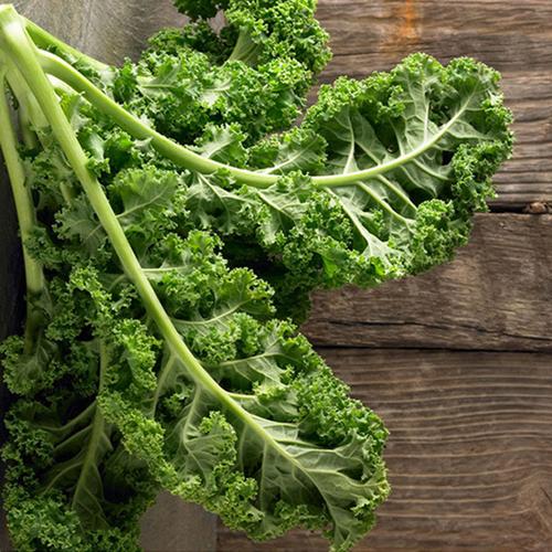 Kale Seeds-Plantjoyfarm-Vegetable Seeds,best selling