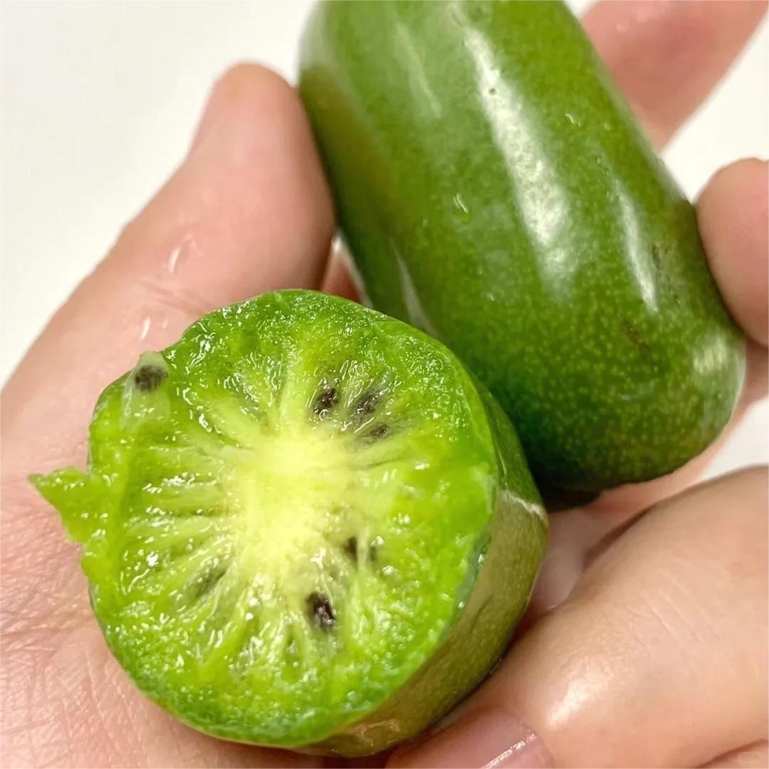 Soft Date Kiwi Fruit Seeds-Plantjoyfarm-