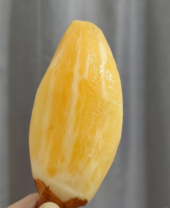 YACON FRUIT SEEDS-Plantjoyfarm-