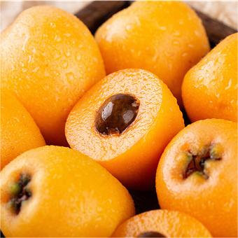 Five-star Loquat Seeds-Plantjoyfarm-