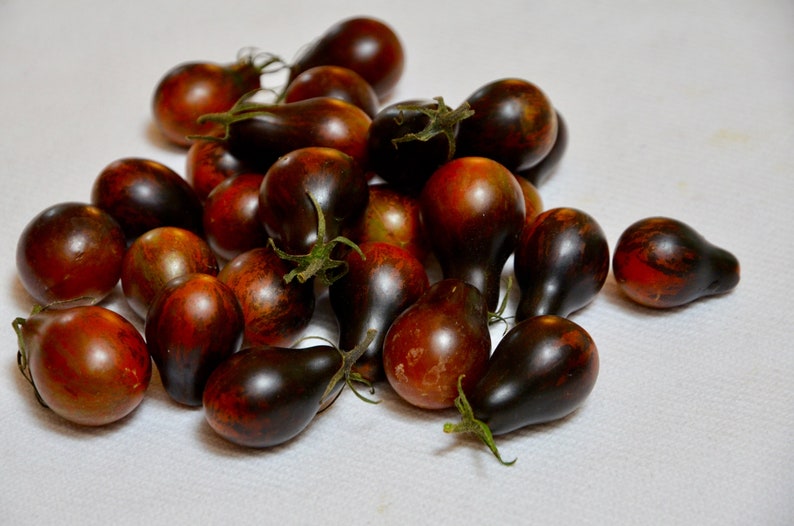 Blue Keyes Tomato Seeds • Dark Anthocyanin Pear Cherry • Open Pollinated • Modern Variety-Plantjoyfarm-best selling