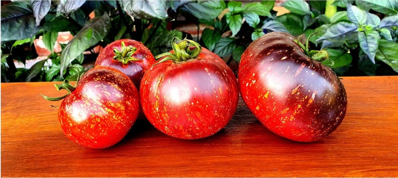 Dark Galaxy Tomato 50 Seeds-Plantjoyfarm-Garden Seeds,new,vegetables
