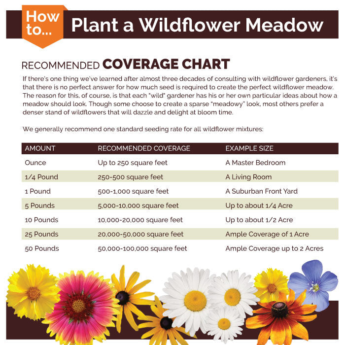 Deer Resistant Wildflower Seed Mix-Plantjoyfarm-Flower Seeds,Wild Flower