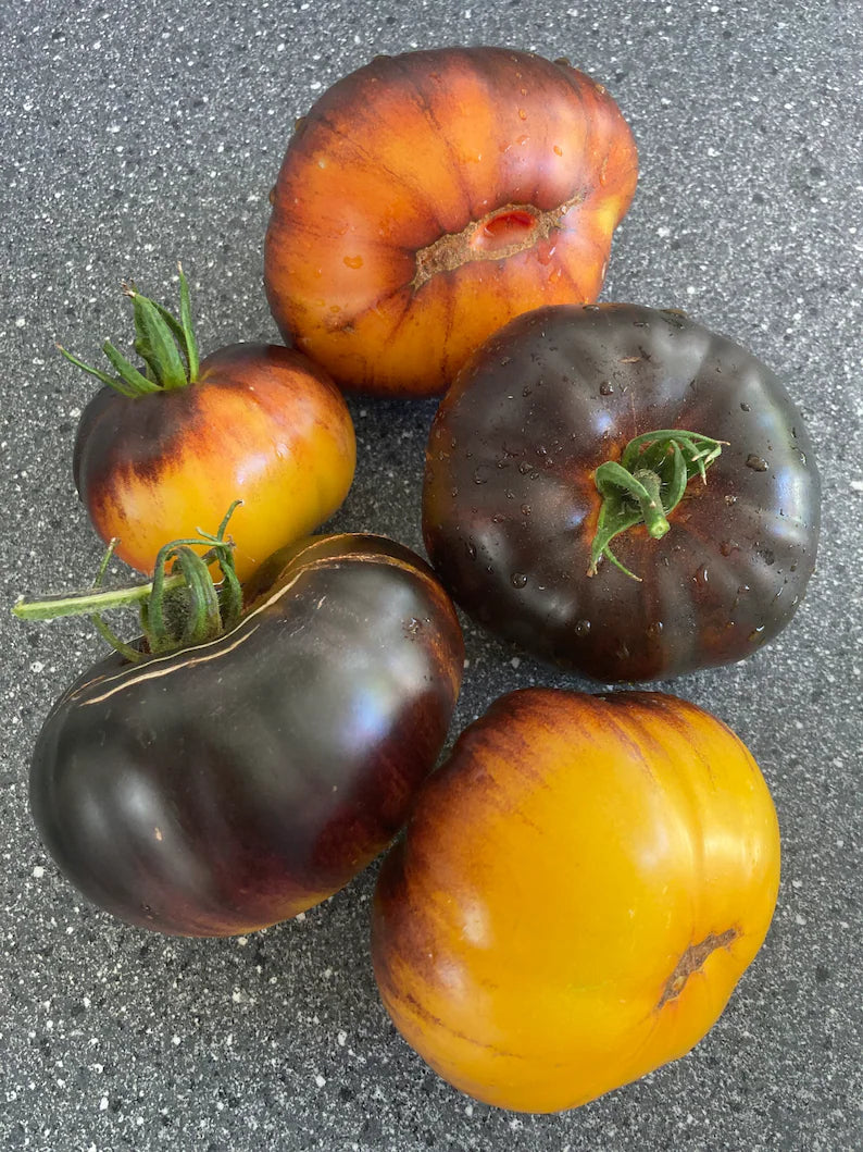 Lucid Gem Tomato Seeds Organic, Heirloom Tomatoes-Plantjoyfarm-new,vegetable