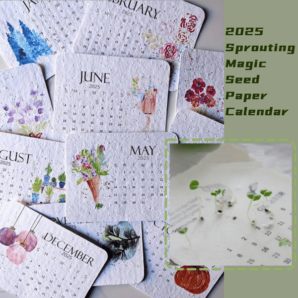 🌱2025 Eco-Friendly Plantable Seed Calendar