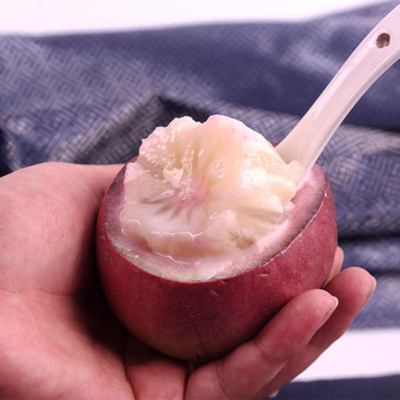 Milk Fruit Seeds - Star Apple✨Cold hardy varieties-Plantjoyfarm-