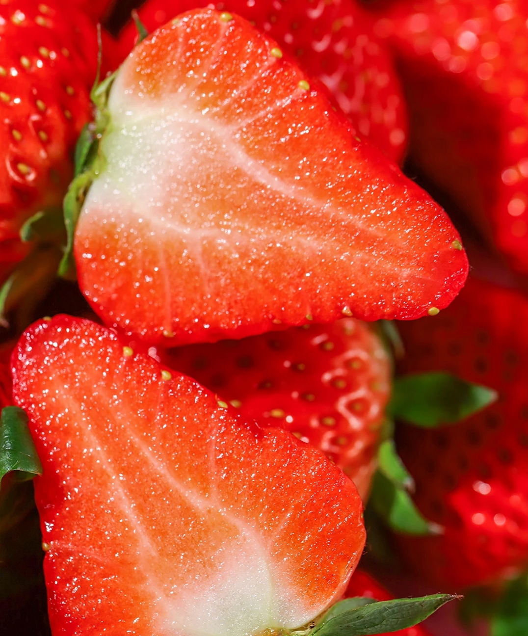 Cream Strawberry Seeds-Plantjoyfarm-home and garden,Fruit Seeds,best selling