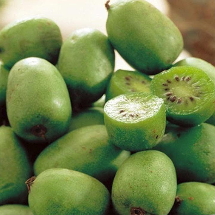 Soft Date Kiwi Fruit Seeds-Plantjoyfarm-
