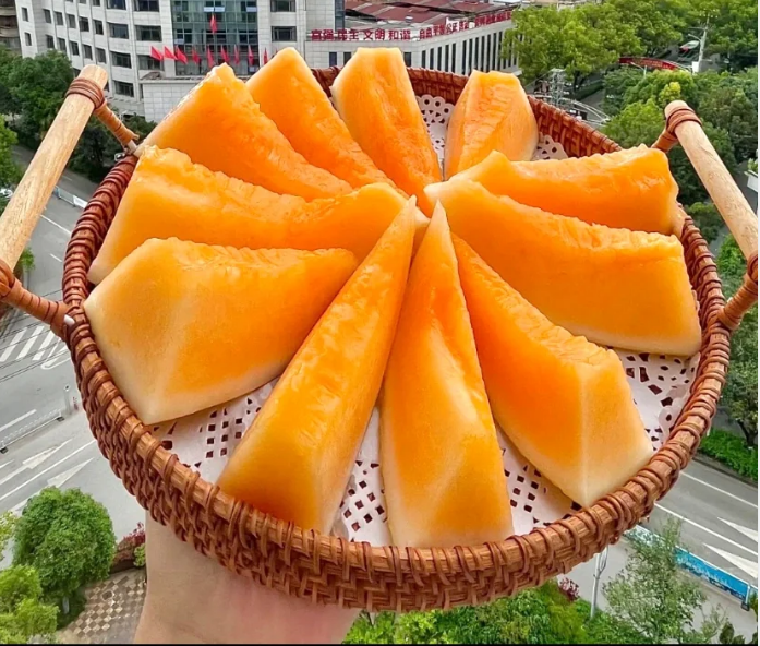 Reticulated Cantaloupe Seeds-Plantjoyfarm-Fruit Seeds,best selling