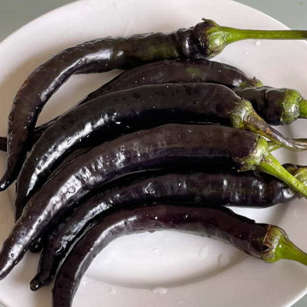 🌶️The Latest Pepper Variety - Purple Beauty-Plantjoyfarm-best selling,Vegetable Seeds