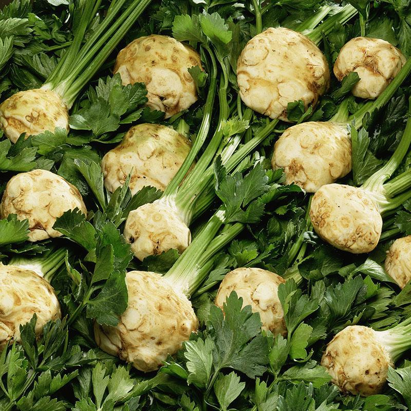 Celeriac Seeds Celery Root Seeds-Plantjoyfarm-Vegetable Seeds,best selling