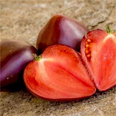 Sgt. Pepper's Tomatoes Seeds - Heirloom-Plantjoyfarm-