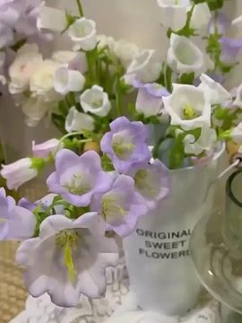 1000 Pcs Bellflower Seeds/Canterbury Bells Seeds-Plantjoyfarm-Flower Seeds