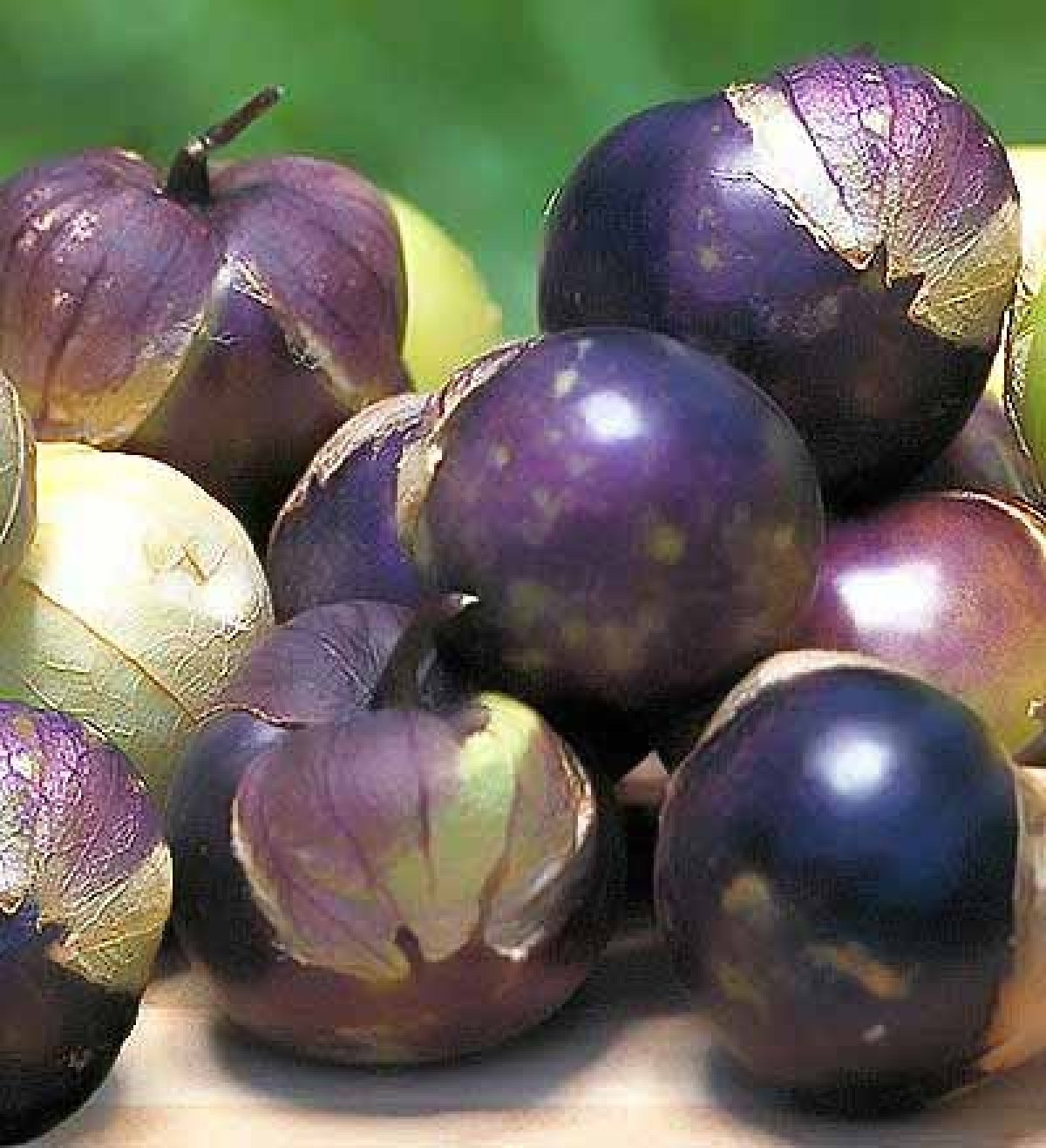 Purple Tomatillo Seeds - Non GMO-Plantjoyfarm-Fruit Seeds,Garden Seeds,best selling