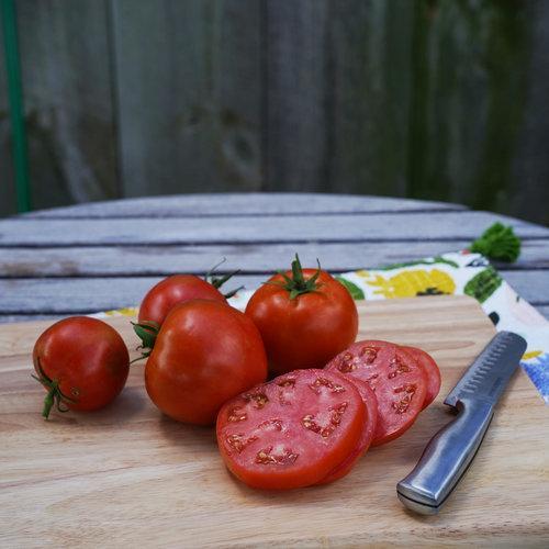 Garden Treasure Tomatoes-Plantjoyfarm-Fruit Seeds,best selling