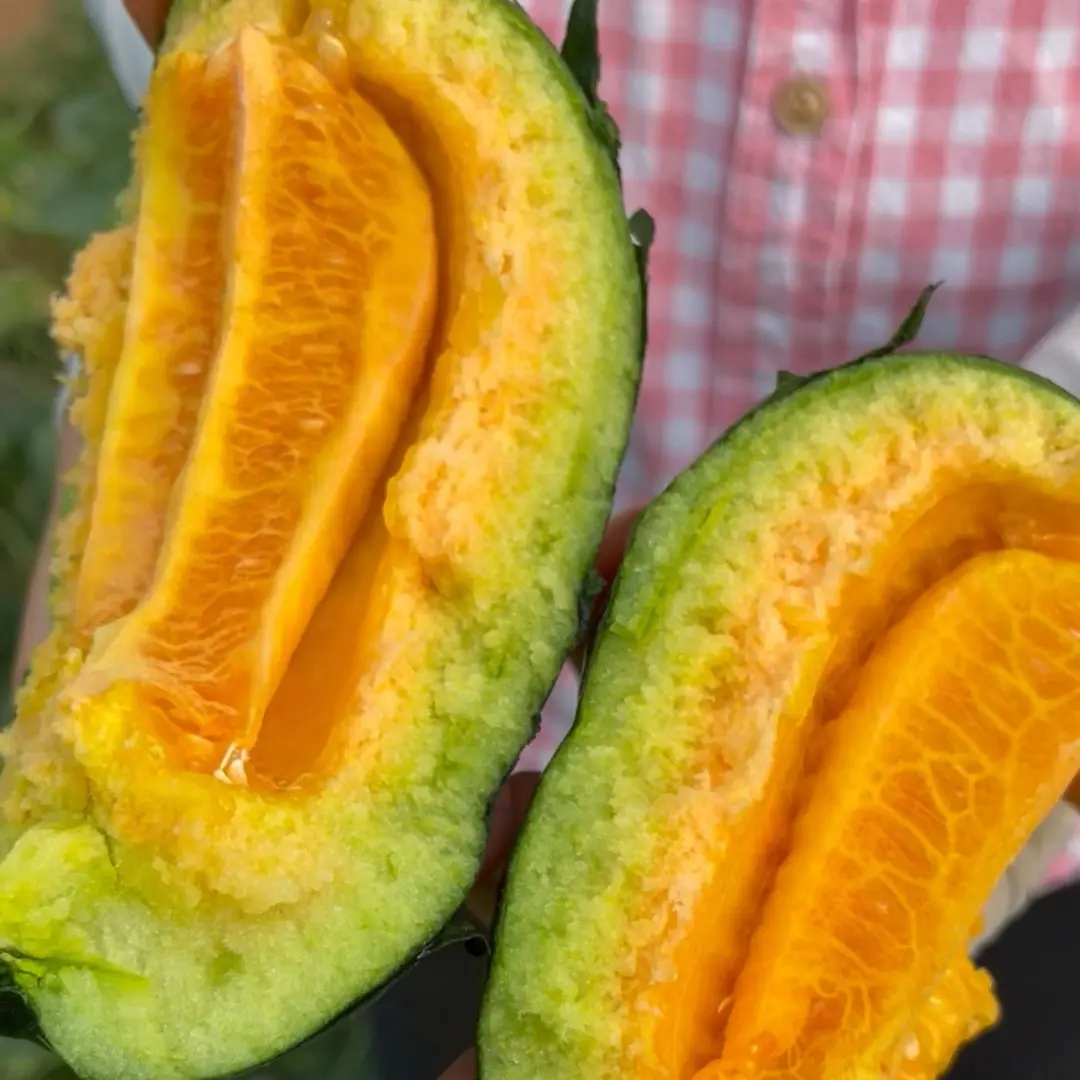 Melon Seeds The Most Suitable Melon for the Elderly and Children-Plantjoyfarm-Fruit Seeds,best selling