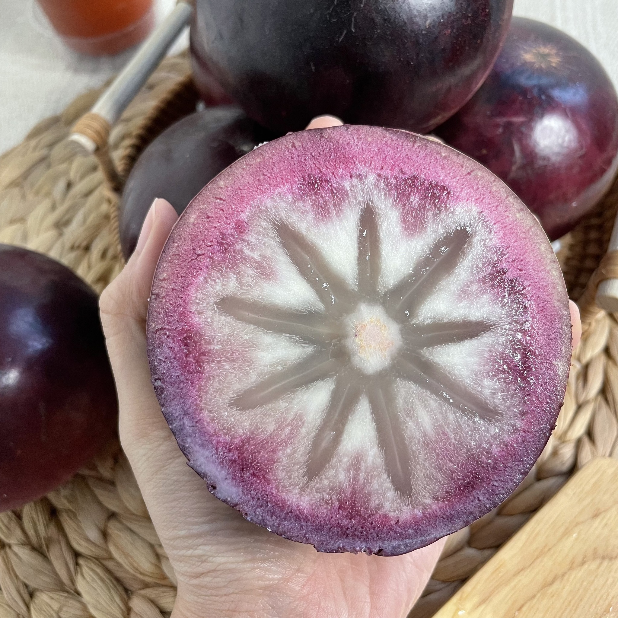 Milk Fruit Seeds - Star Apple✨Cold hardy varieties-Plantjoyfarm-