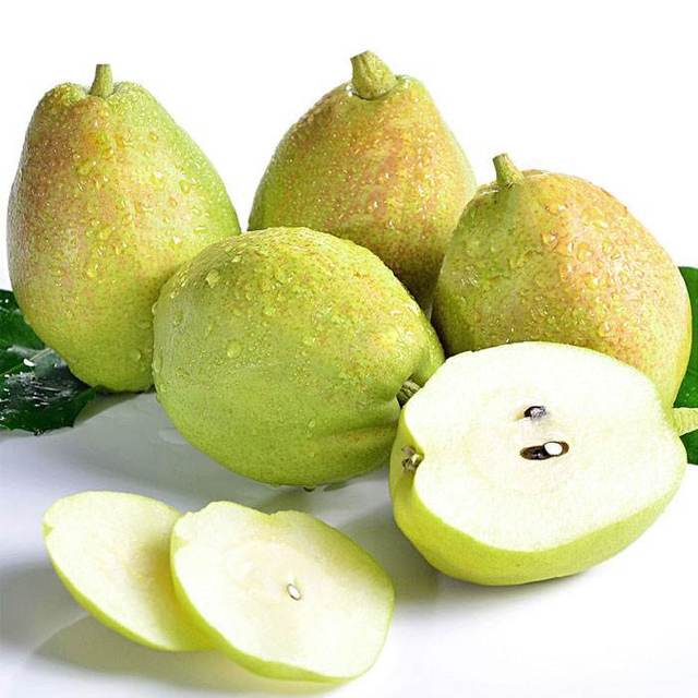 Korla Fragrant Pear Seeds-Plantjoyfarm-