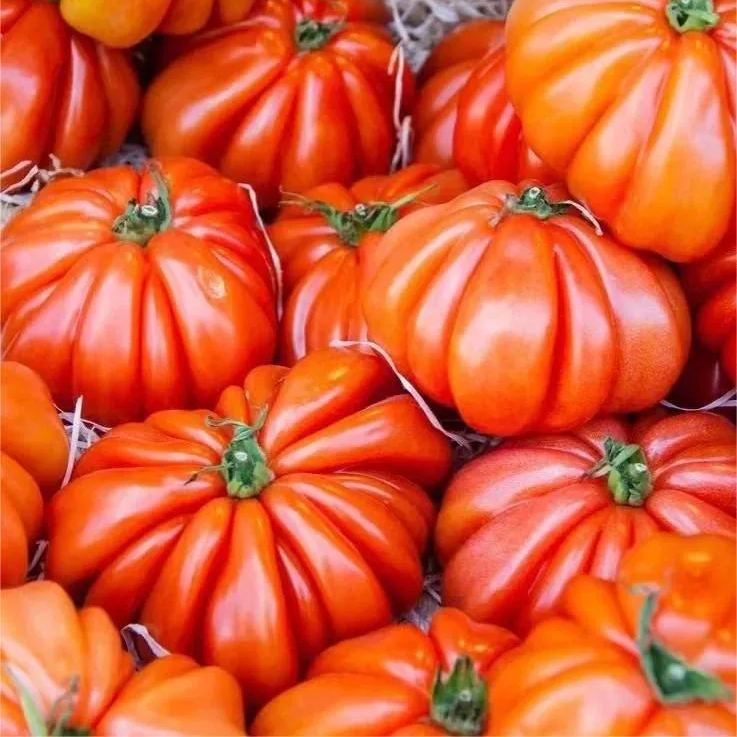 🎊Vegetable Steak🥩-Giant Beef Tomato Seeds🍅-Plantjoyfarm-Garden Seeds,Vegetable Seeds